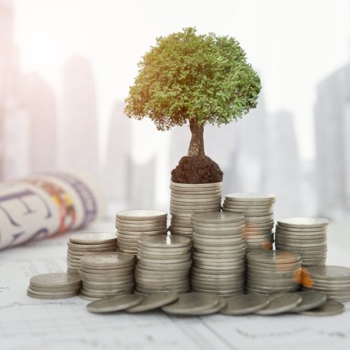 Kickstarting Your Investment Journey in Jamaica: A Beginner’s Guide